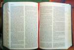 SUNDAY GOSPEL READING (MATTHEW 16:21-27)